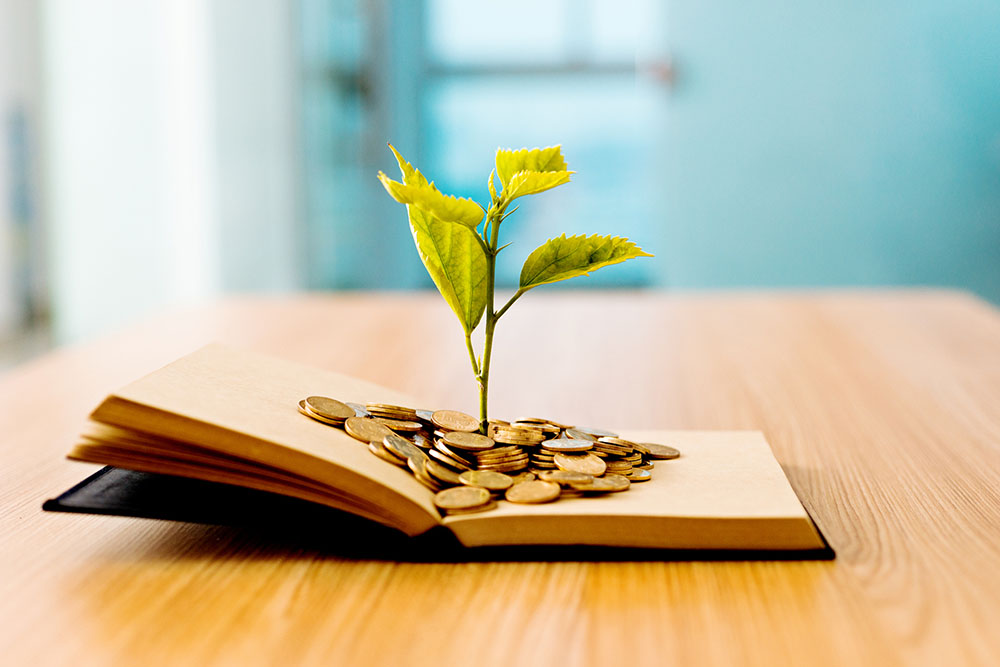 Beginner investing tips everyone should know